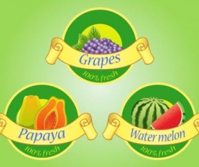 Fruits labels with ribbon vector 02