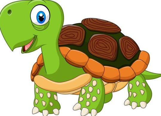 Funny cartoon turtles vectors 03