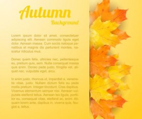 Maple leaves with autumn background vector 01