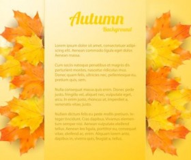 Maple leaves with autumn background vector 02