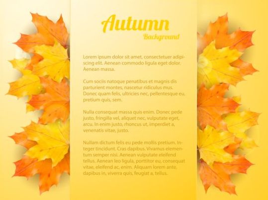 Maple leaves with autumn background vector 02