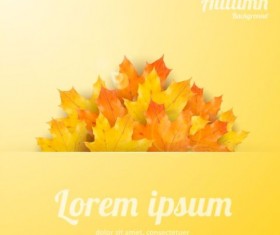 Maple leaves with autumn background vector 04