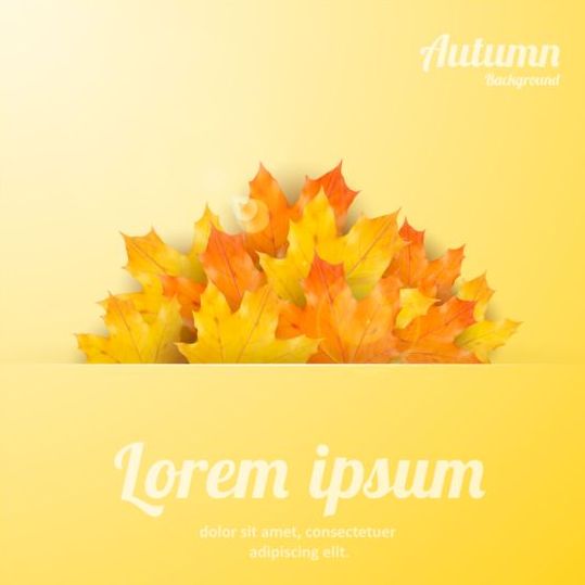 Maple leaves with autumn background vector 04