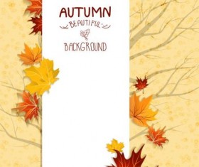 Maple leaves with autumn card vector