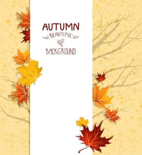 Maple leaves with autumn card vector