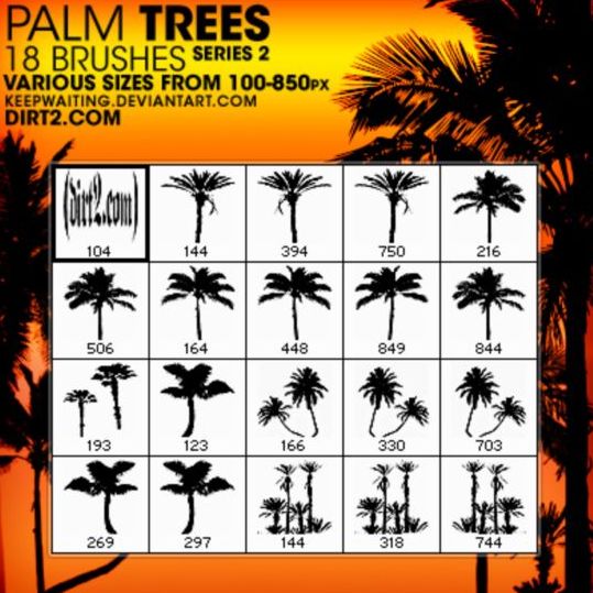 Palm tree photoshop brushes