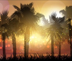 Palm trees with sunset summer background 01