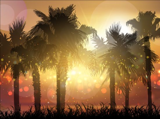 Palm trees with sunset summer background 01