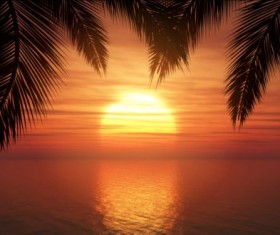 Palm trees with sunset summer background 02