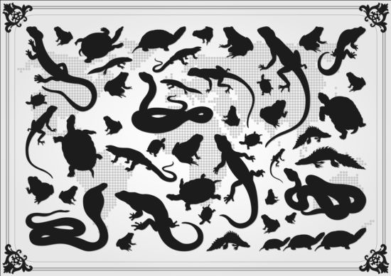 Reptiles silhouetter with frame vector
