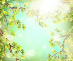 Summer green leaves with sunlight background vector 03