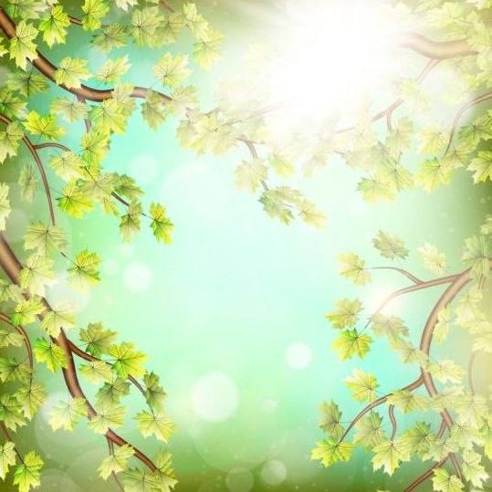 Summer green leaves with sunlight background vector 03