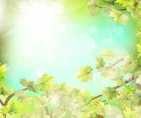 Summer green leaves with sunlight background vector 07