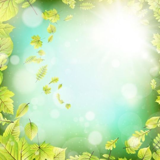 Summer green leaves with sunlight background vector 08