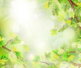 Summer green leaves with sunlight background vector 09