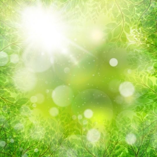 Summer green leaves with sunlight background vector 10