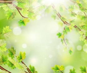 Summer green leaves with sunlight background vector 11
