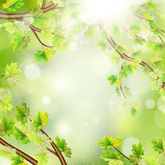 Summer green leaves with sunlight background vector 11