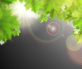 Summer leaves with sunlight background illustration 01