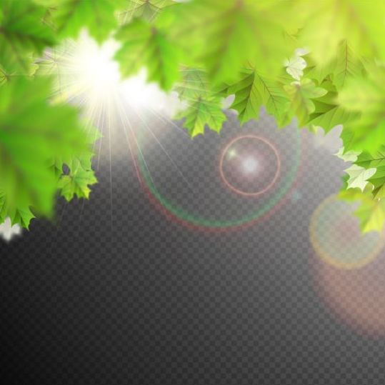 Summer leaves with sunlight background illustration 01