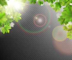 Summer leaves with sunlight background illustration 02