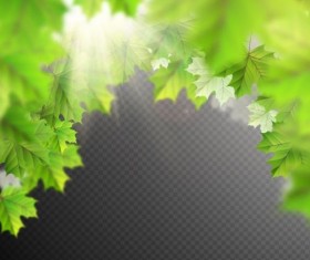 Summer leaves with sunlight background illustration 03