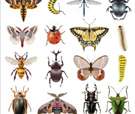 Vector Insects huge collection 01