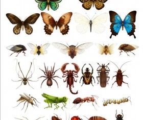 Vector Insects huge collection 02