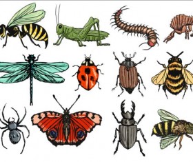 Vector Insects huge collection 03