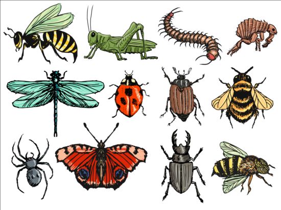 Vector Insects huge collection 03