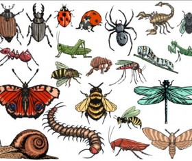 Vector Insects huge collection 04