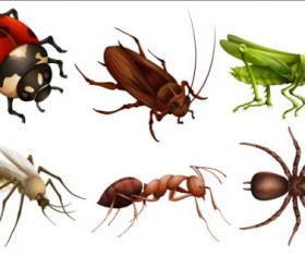 Vector Insects huge collection 06