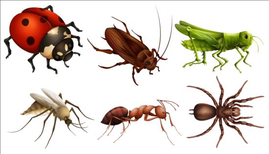 Vector Insects huge collection 06