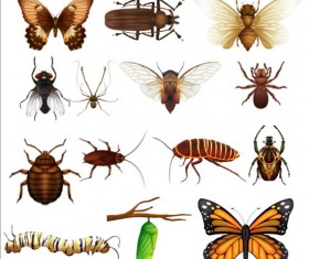 Googly Eyed Insects vector free download