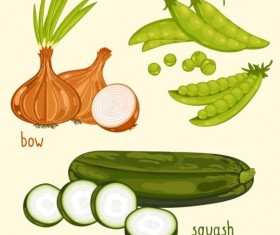 Vegetables with name design vector 02