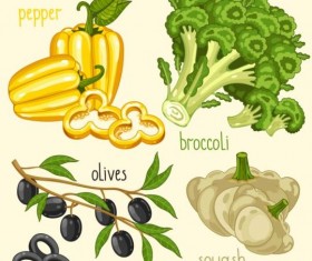 Vegetables with name design vector 03