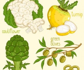 Vegetables with name design vector 05