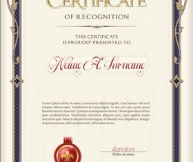 Vintage frame with certrificate design vector 06