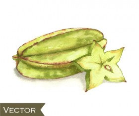 Watercolor fruit design vector 02
