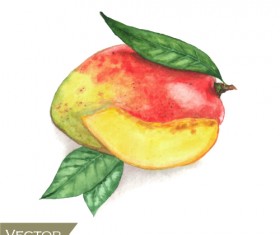 Watercolor fruit design vector 03