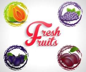 Watercolor fruits labels vector 02
