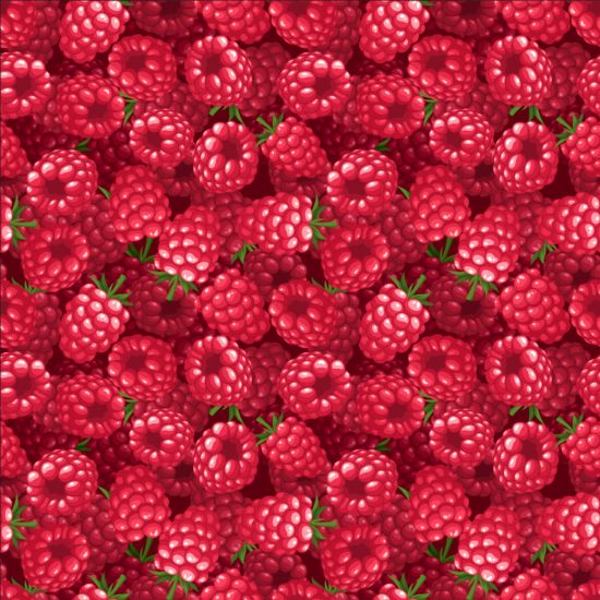 raspberry seamless pattern vector