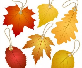 Autumn leaf tags vector material