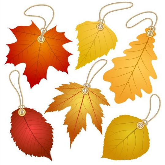 Autumn leaf tags vector material