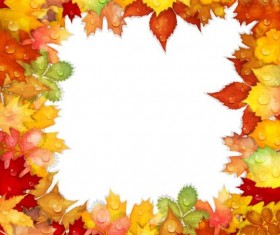 Autumn leaves frame with water dorp vector