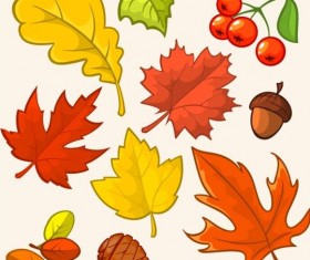 Autumn leaves with buts and berries vector