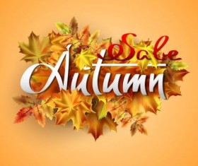 Autumn leaves with sale background vectors