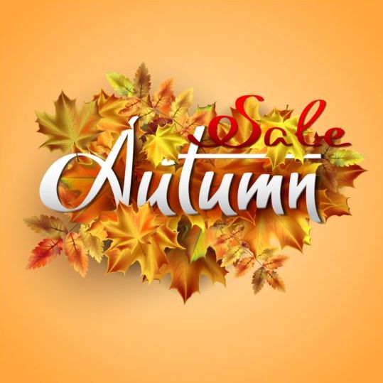 Autumn leaves with sale background vectors