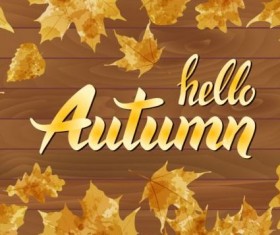 Autumn leaves with wooden background vectors