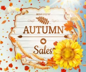 Autumn sale labels with sunflower and leaves background vector 02